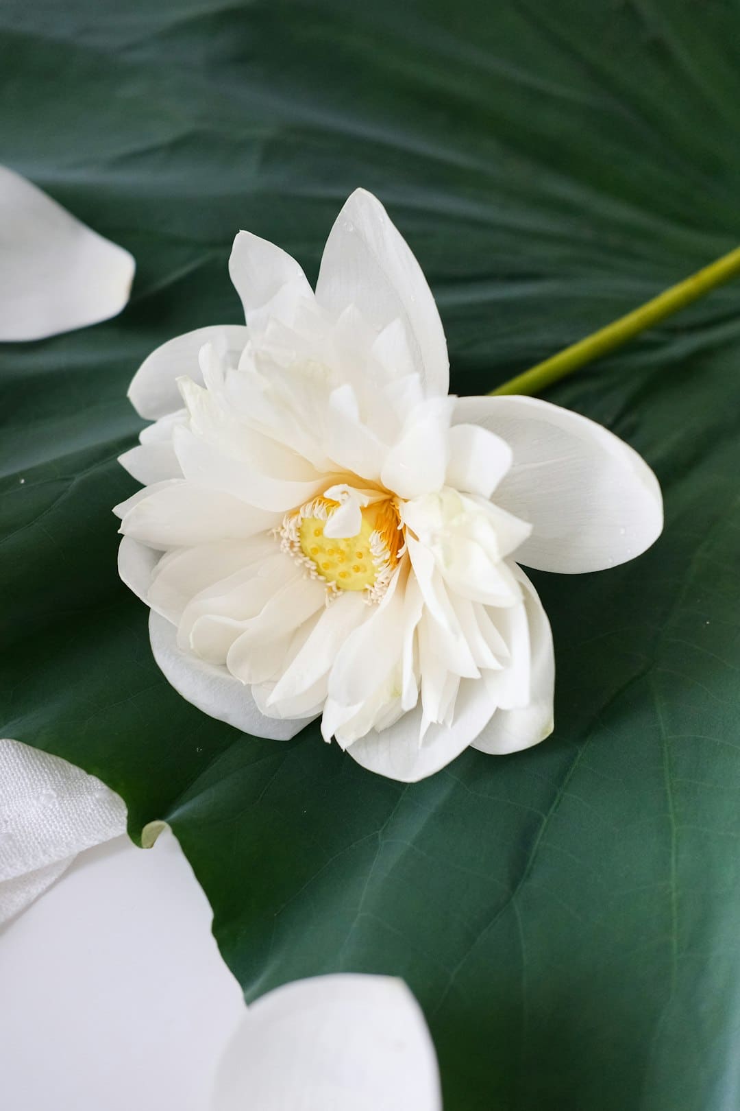 极兔市值赶超京东物流，满帮挺进前三，闪送缩水超60%，物流科技重构资本叙事